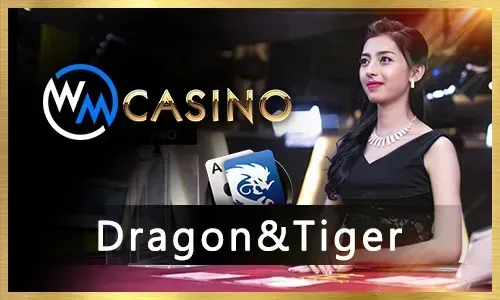 Live Dealer Games Guide